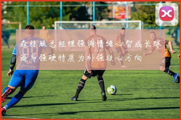 森林狼总经理强调情绪心智成长球商与强硬特质为补强核心方向